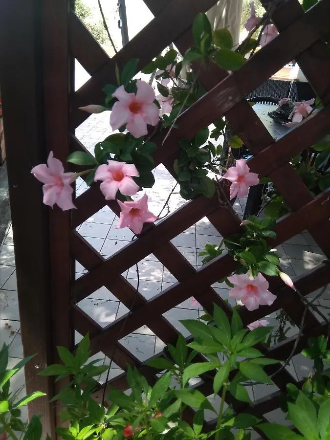 Appartement Guest House Oleandro Santa Maria Navarrese