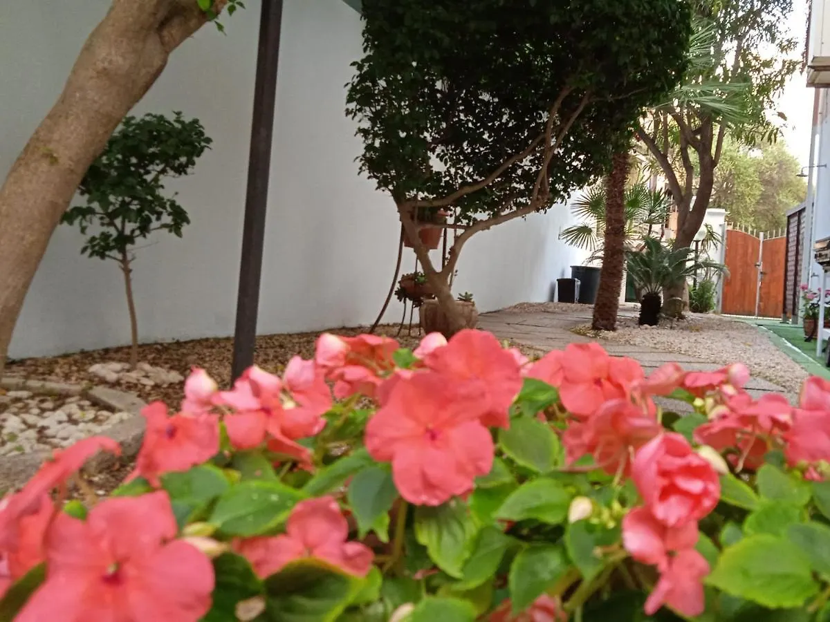 Guest House Oleandro Santa Maria Navarrese Appartement