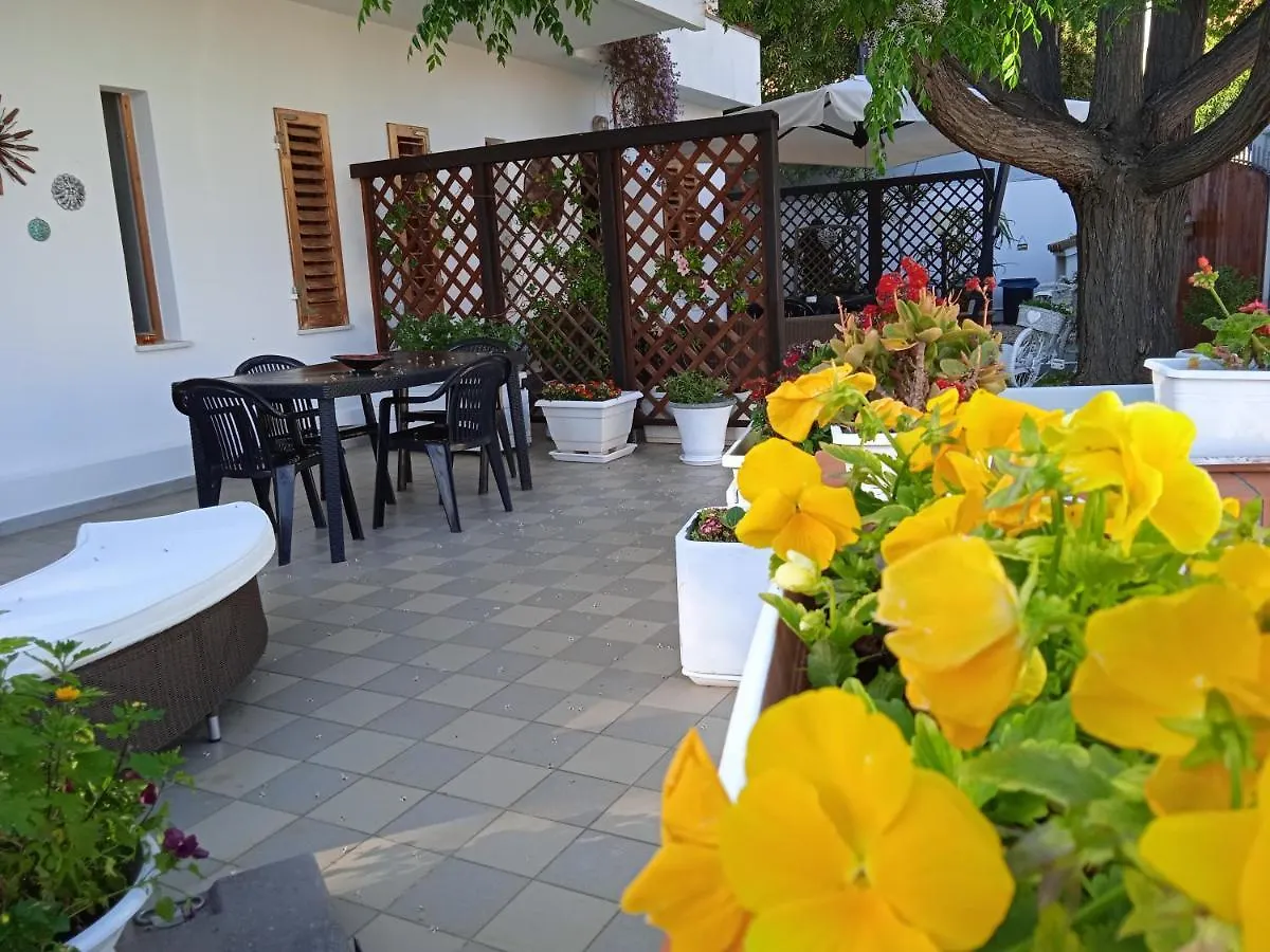 Guest House Oleandro Santa Maria Navarrese Appartement