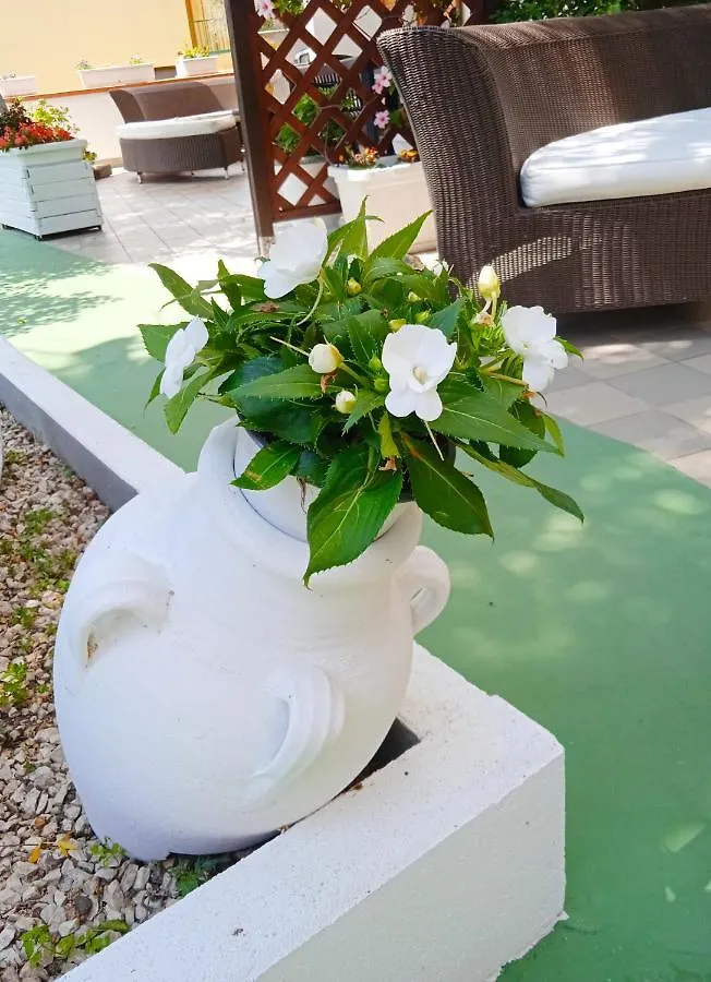 Guest House Oleandro Santa Maria Navarrese 0*,  Italie