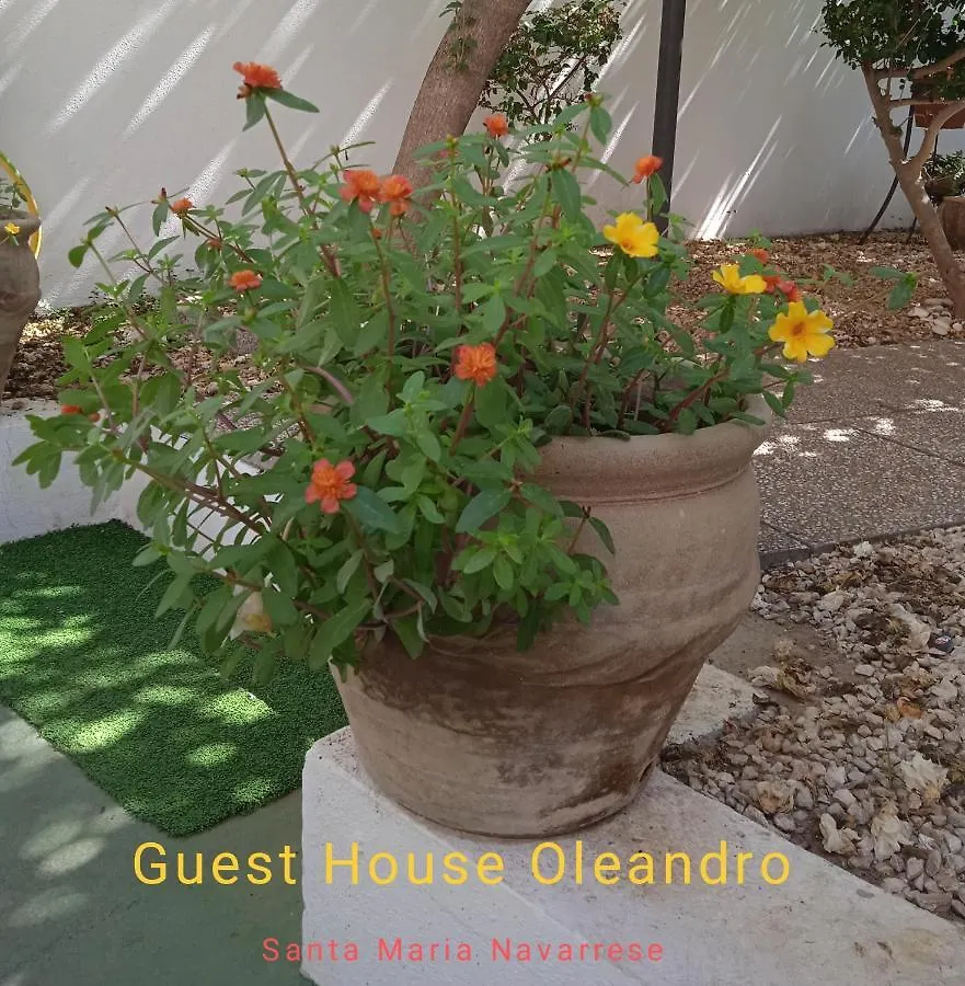 Guest House Oleandro Santa Maria Navarrese Appartement