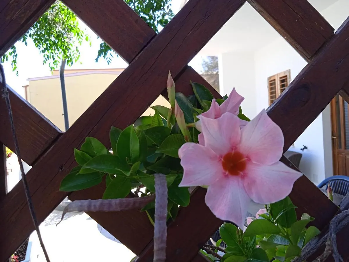 Guest House Oleandro Santa Maria Navarrese