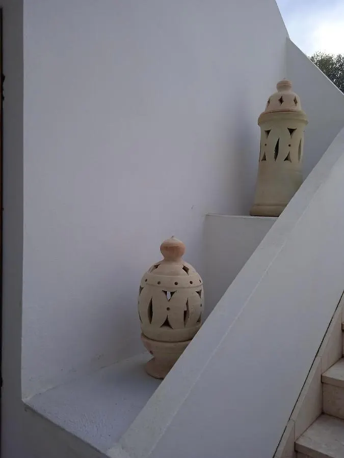 Guest House Oleandro Santa Maria Navarrese Apartment
